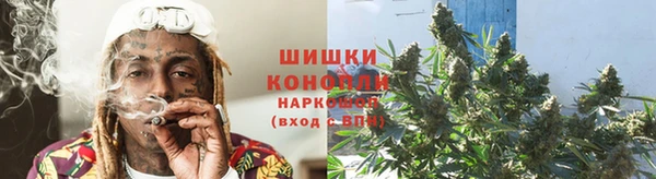 мяу мяу мука Белокуриха