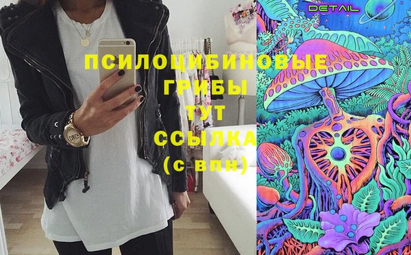 мяу мяу мука Белокуриха