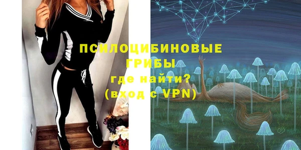 мяу мяу мука Белокуриха