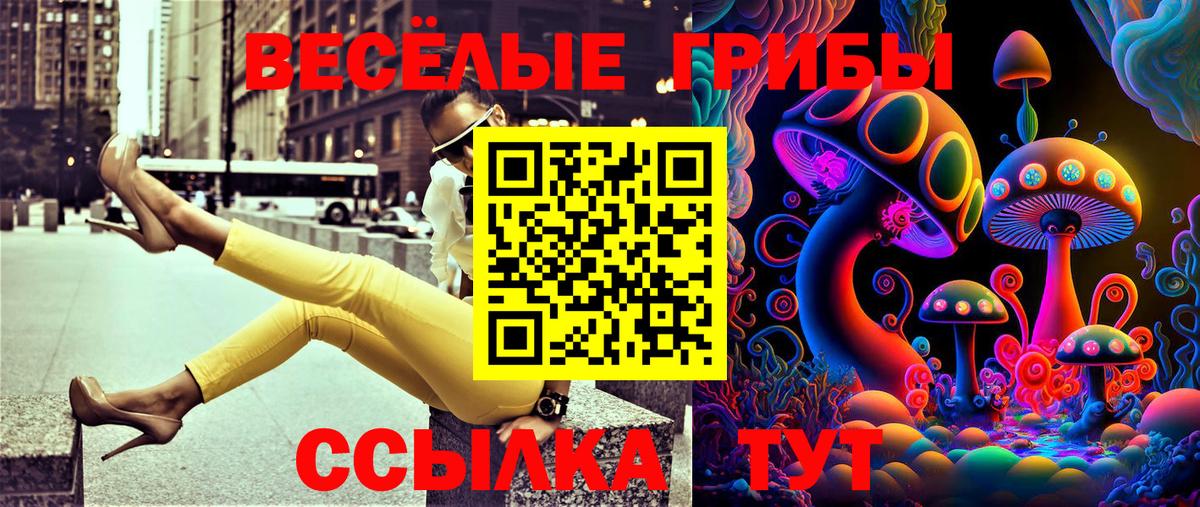 Галлюциногенные грибы Cubensis  купить  цена  Гудермес  Вход с VPN 